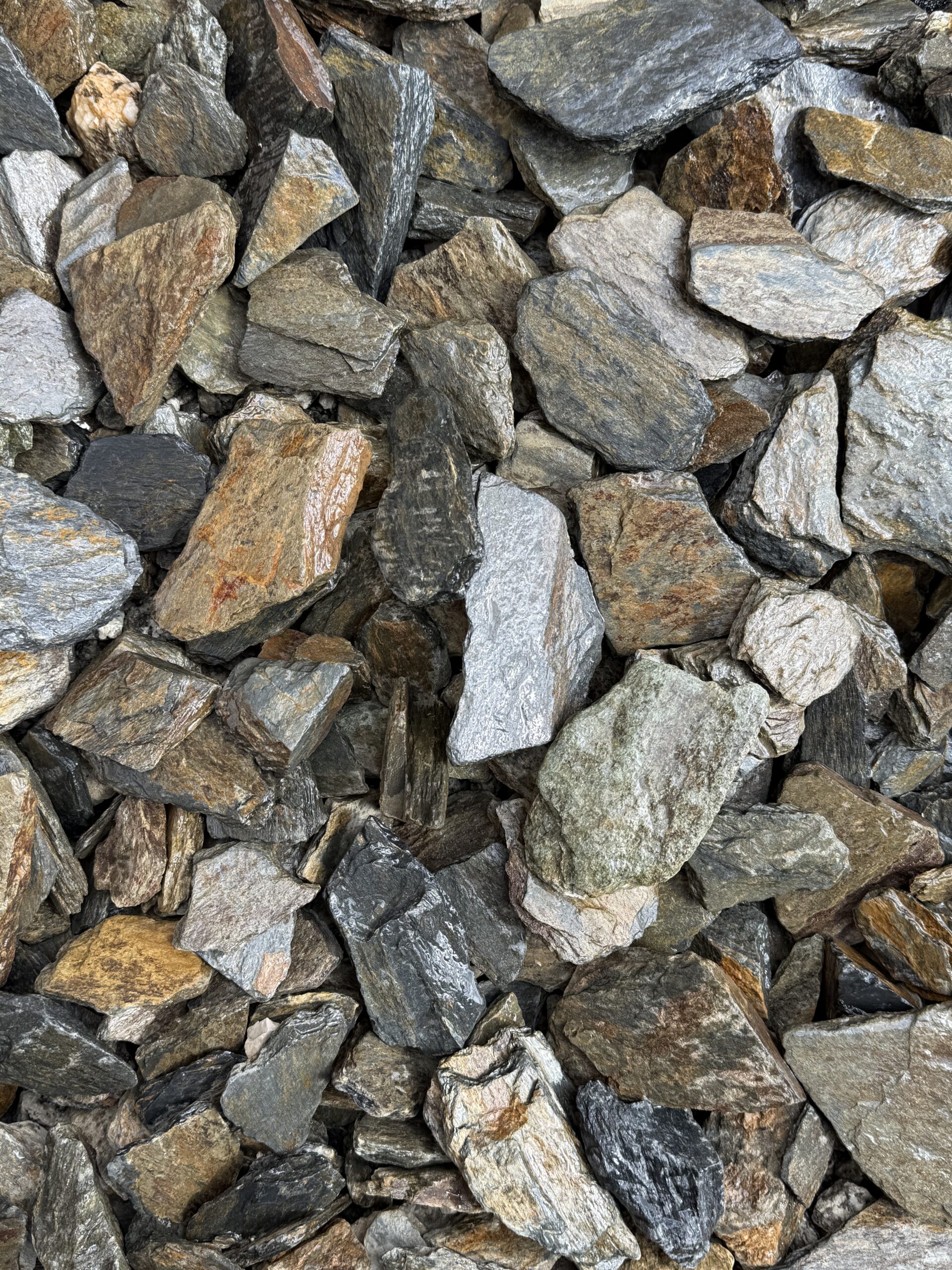 kôra lupana šéda malá