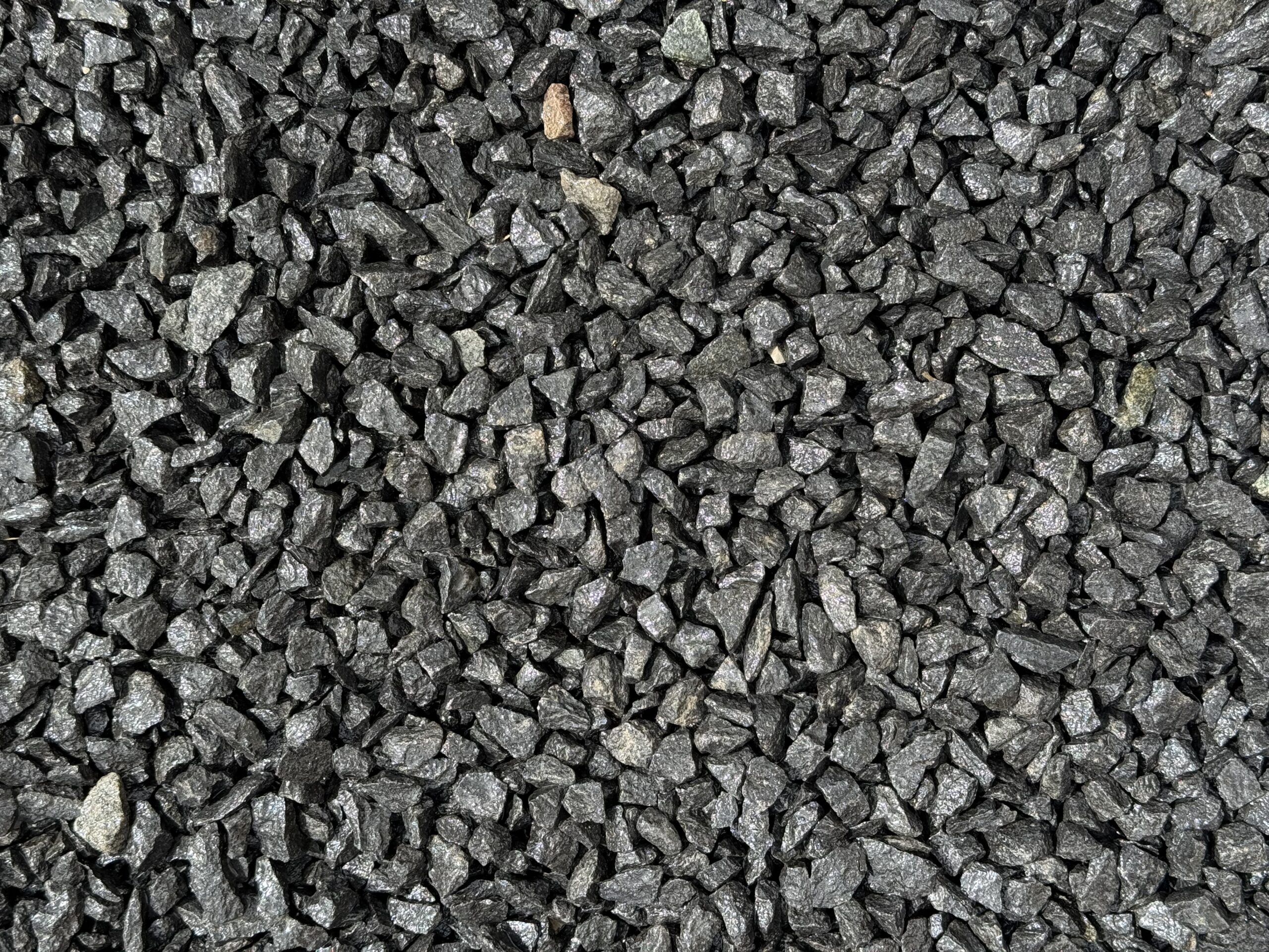 Krúpy Szwed čierny